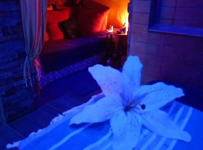 Room, Les Nuitees Secretes De Rouen Frühstückspension